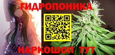 мдпв Апшеронск